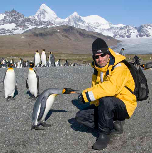 DJ and King Penguins